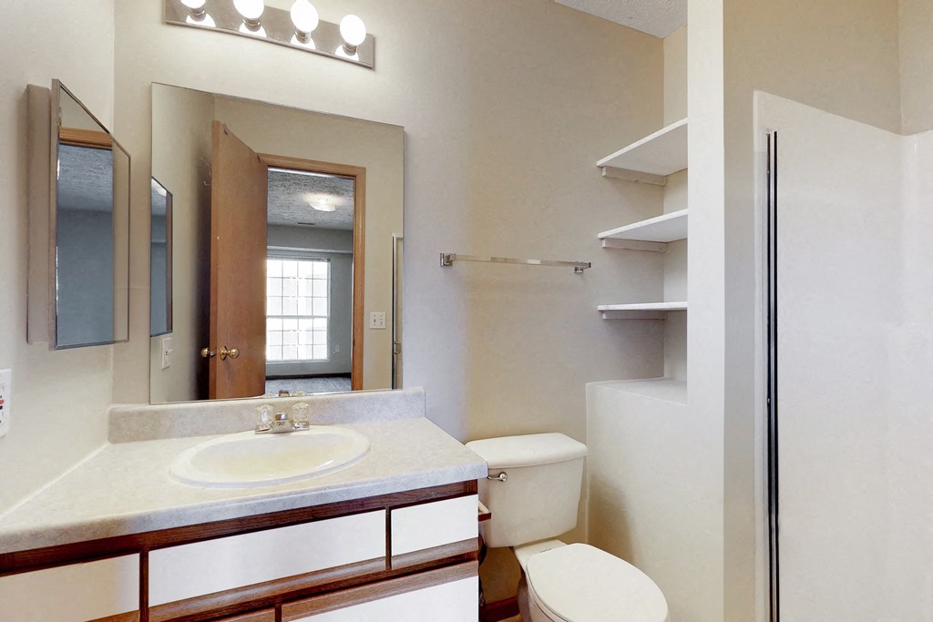 a bathroom with a toilet and a sink and a mirror