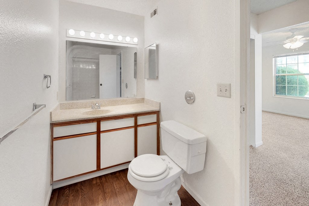 a bathroom with a toilet and a sink and a mirror