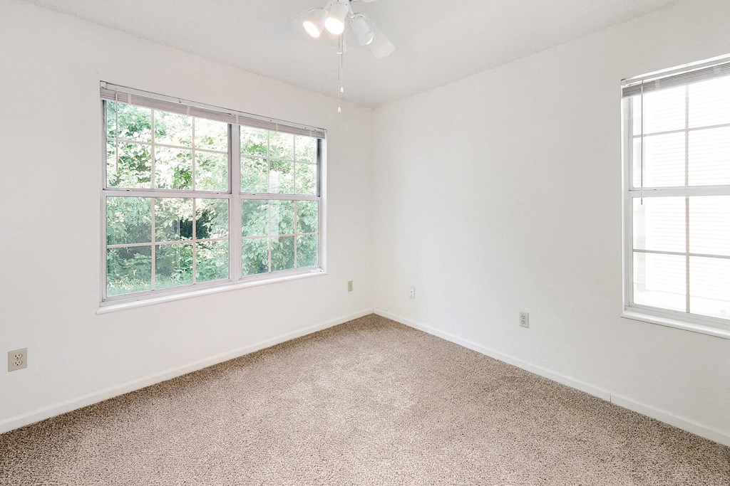 a bedroom with two windows and a carpeted floor