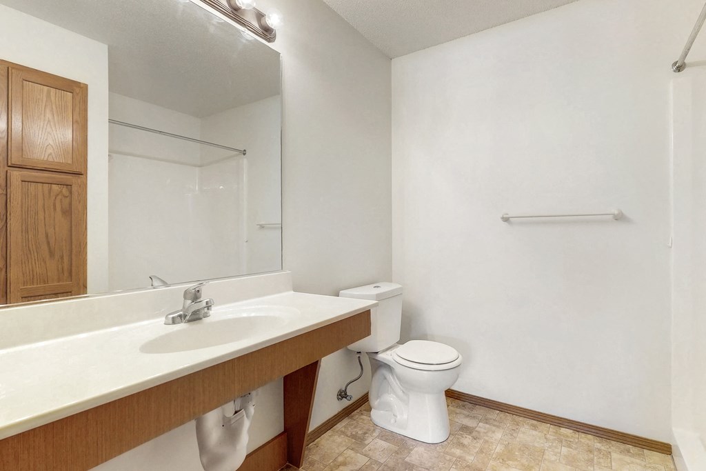 a bathroom with a sink and a toilet and a mirror