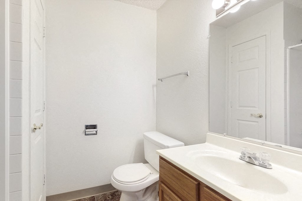a bathroom with a sink toilet and a mirror