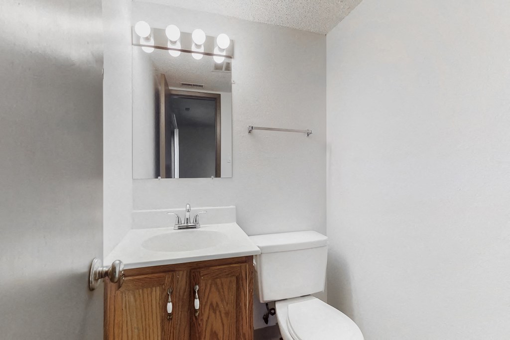 a bathroom with a sink and a mirror and a toilet