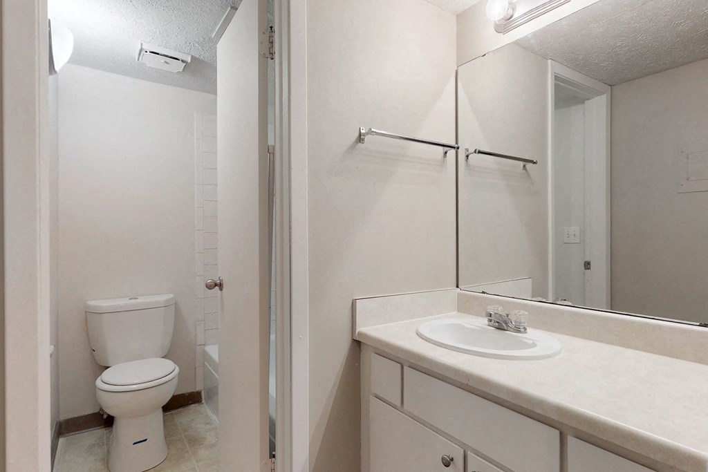 a bathroom with a toilet and a sink and a mirror