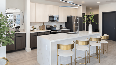 220 N. Meridian St. Studio-3 Beds Apartment for Rent - Photo Gallery 4