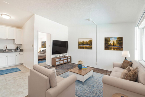 A living room with a couch, a coffee table, and a television.