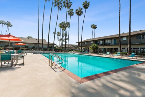 the swimming pool at our hotel in palm springs
