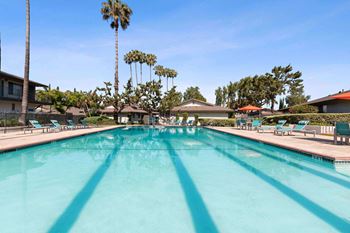 Pool at Terramonte Apartment Homes, Pomona