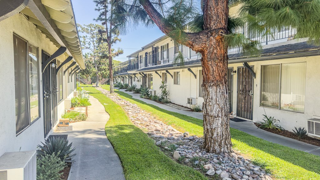 A tree stands in a grassy area between two buildings.