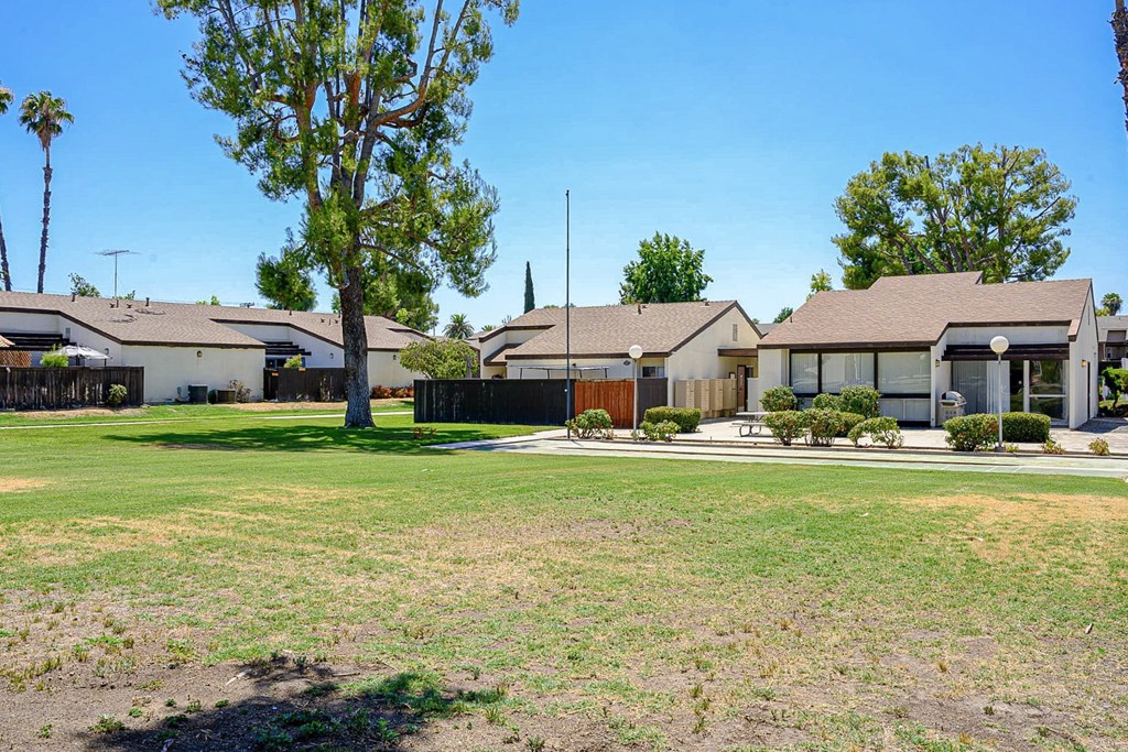 A row of houses with a tree in front of them.