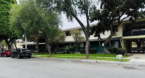 A building sits behind a row of trees.