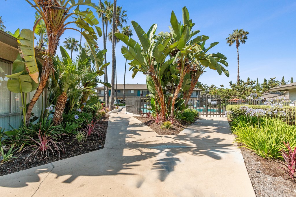 a sidewalk with palm trees and a building in the background at Terramonte Apartment Homes, California