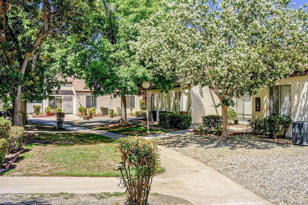 A residential area with houses and flowering trees.