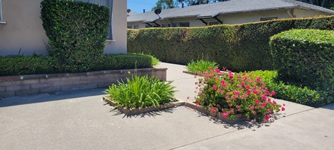 A green plant is in a planter with pink flowers.