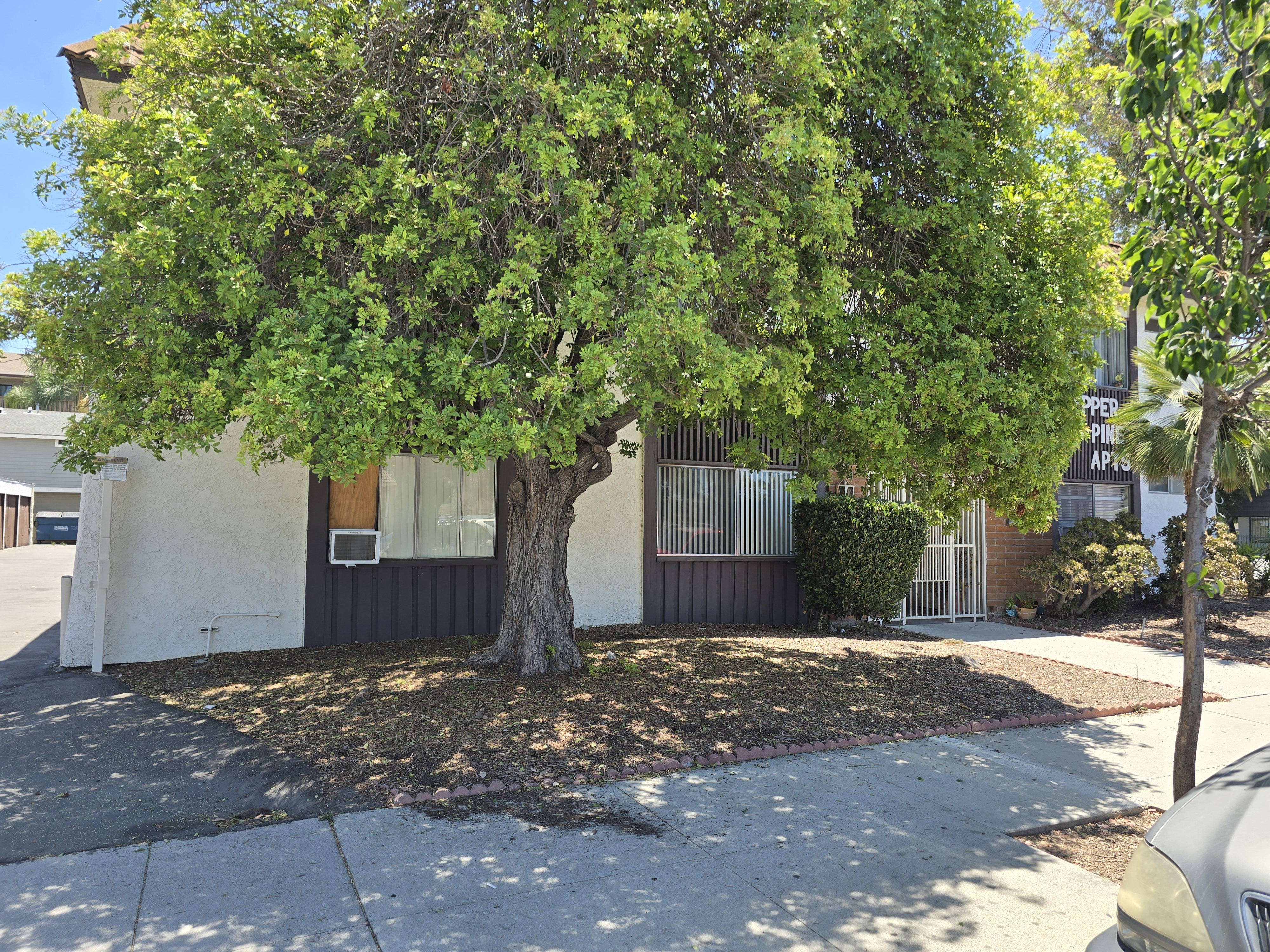 A tree in front of a house.