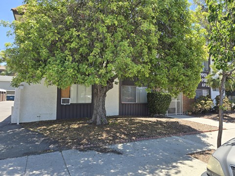 A tree in front of a house.