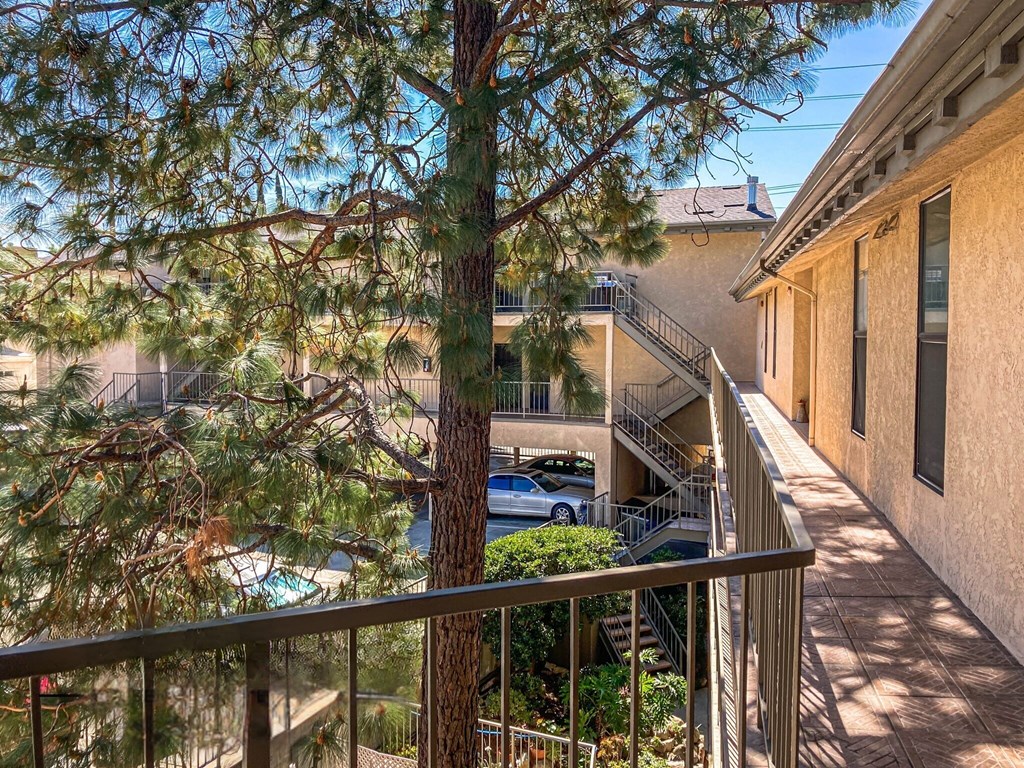 A balcony with a railing overlooks a tree and a car.