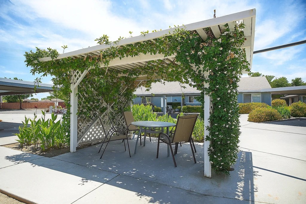 A white pergola with green vines growing on it is situated on a patio with a table and chairs.