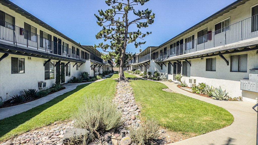 A tree in a courtyard surrounded by buildings with balconies.