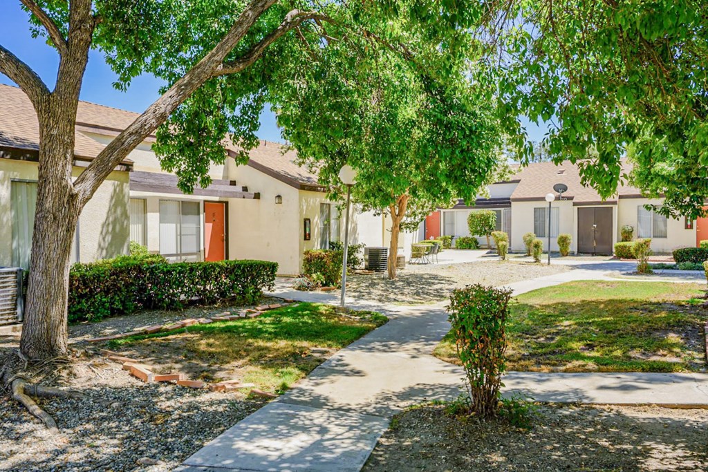 A tree in a grassy area in front of a building.
