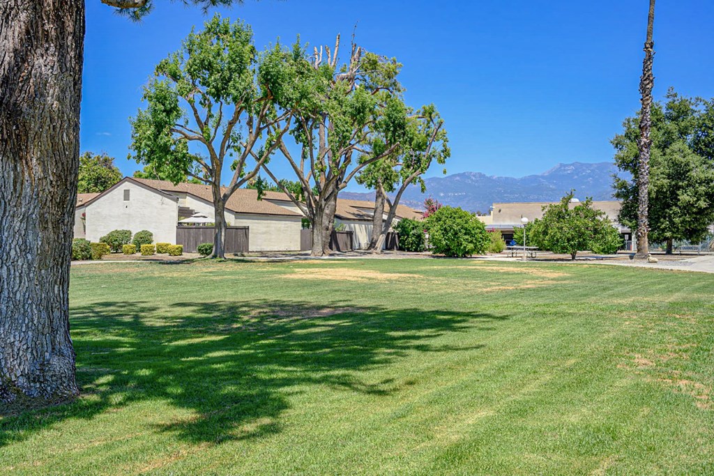 A large grassy field with trees and houses in the background.