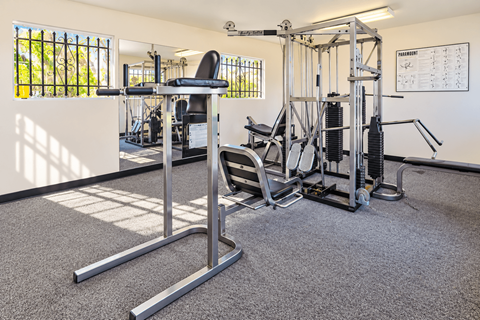 A gym with a variety of equipment including a weight bench, a leg press machine, and a squat rack.