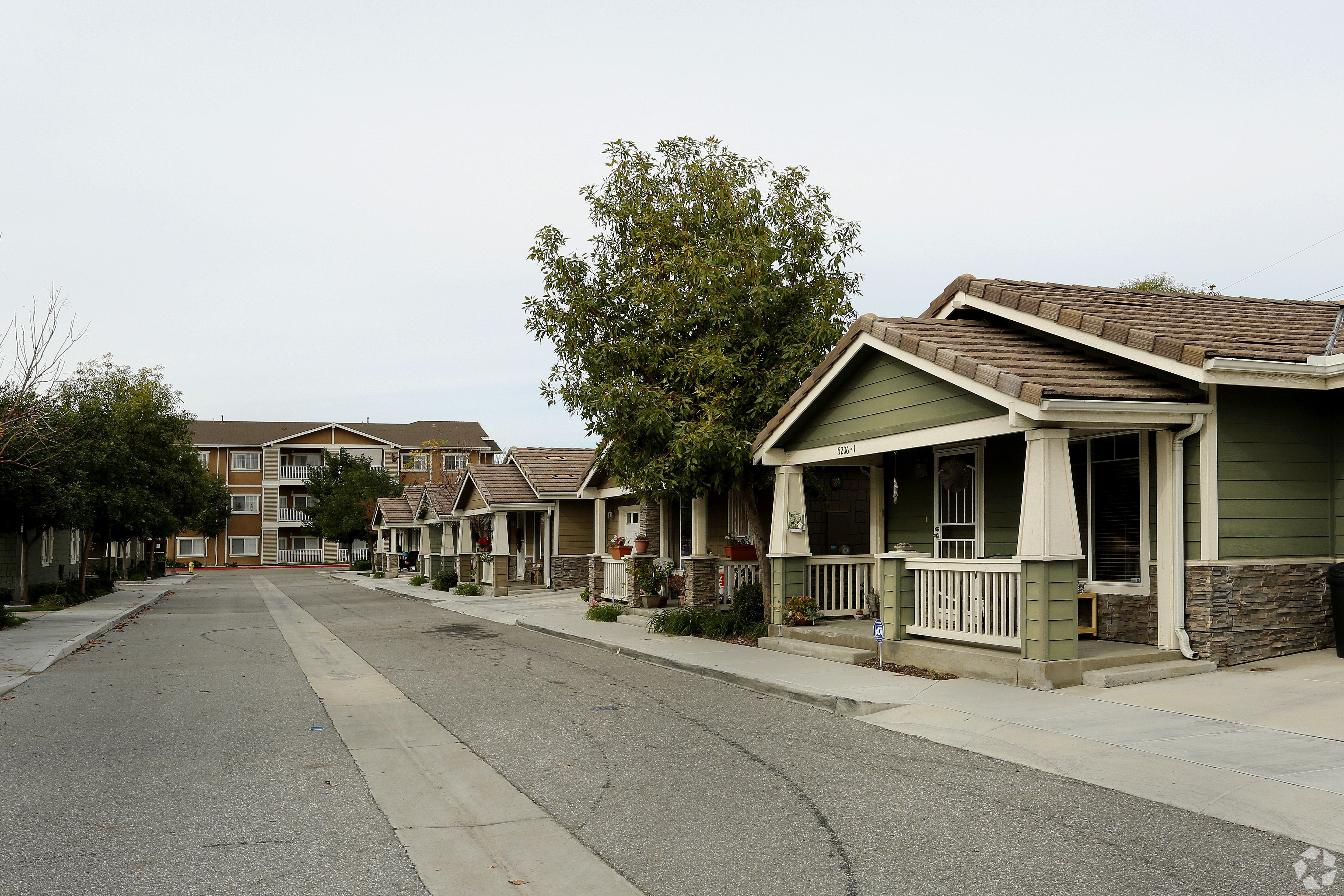 A row of houses with a tree in front of them.
