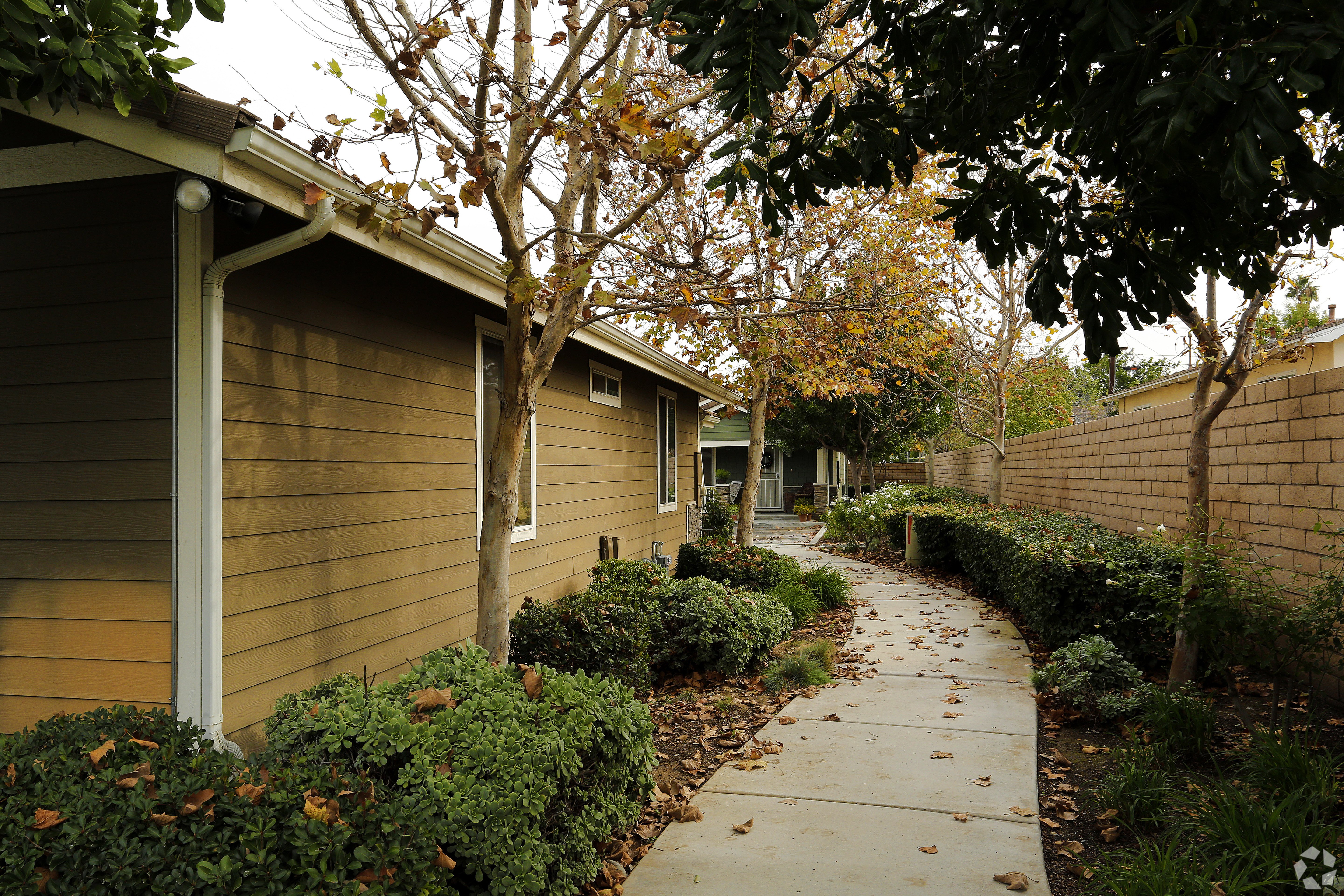 A sidewalk runs between two rows of houses.