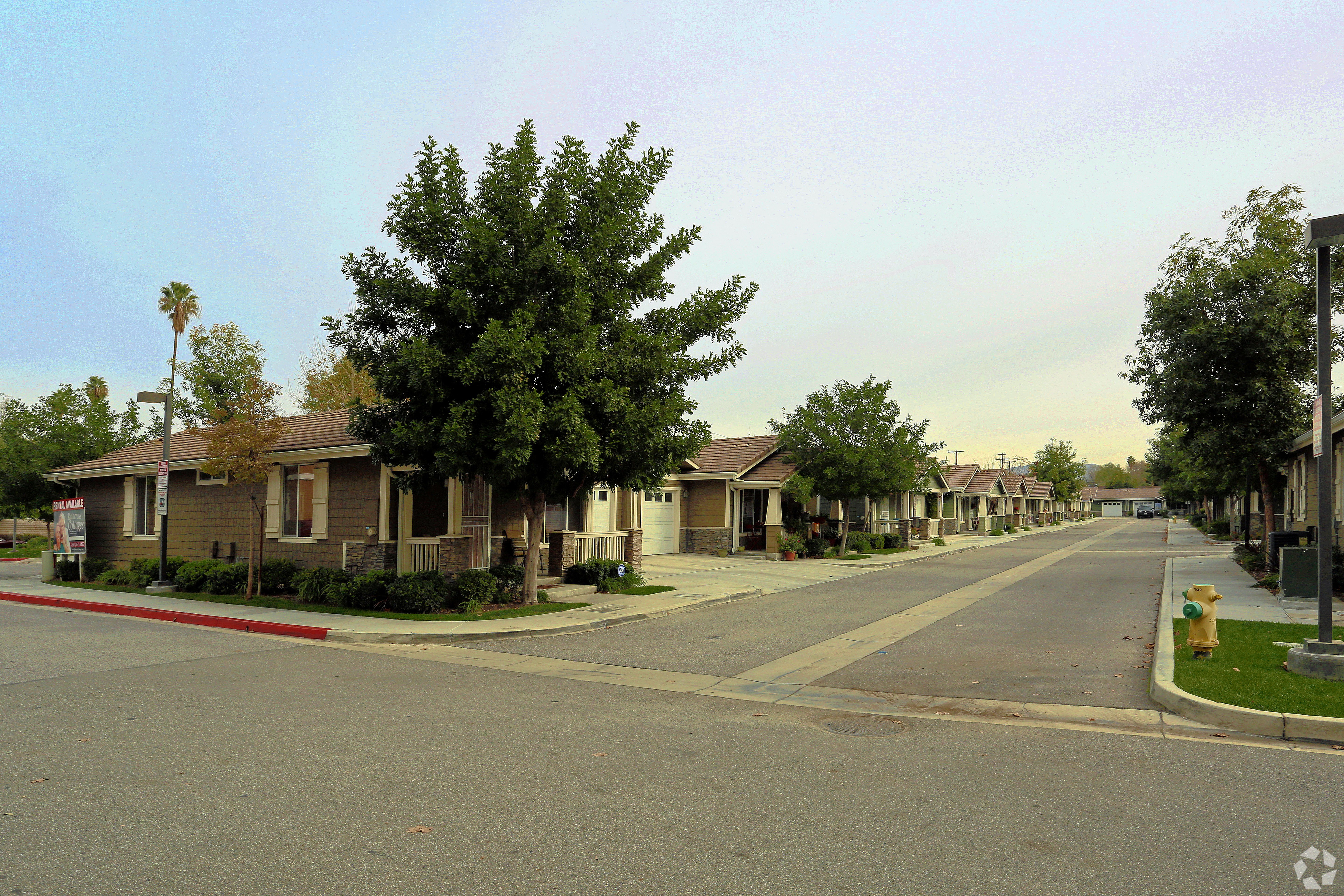 A street view of a residential area with houses on both sides.