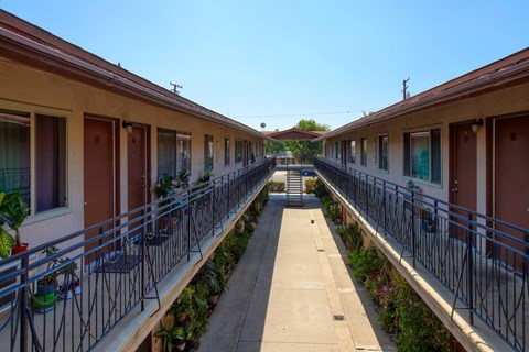 A long row of houses with balconies and plants.