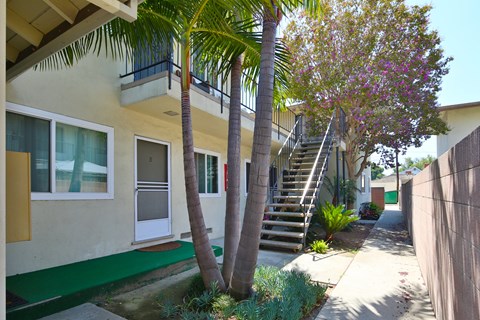 A house with a green lawn and a tree in front.
