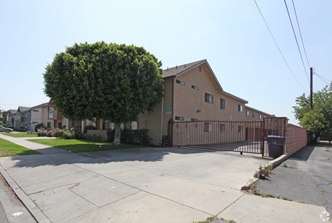 A large tree is in front of a building.