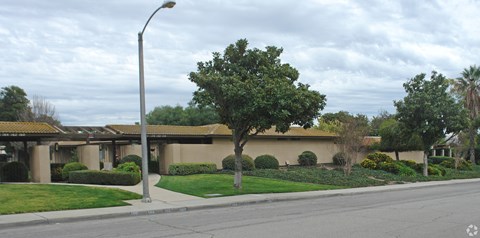 A tree in front of a building with a street light to the left.