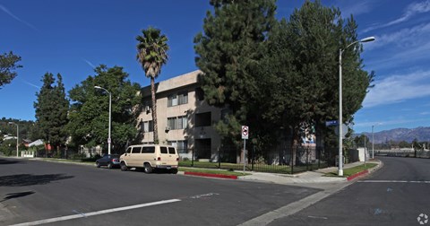 A street view with a tan van and a palm tree.