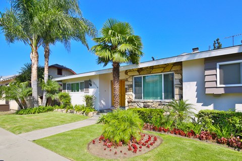 A white house with a palm tree in front.