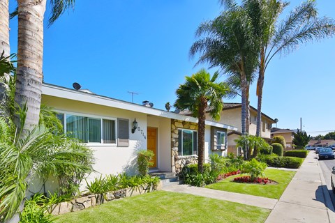 A house with a white exterior and a brown door is surrounded by palm trees.