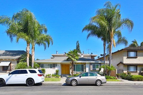 Two cars are parked in front of a house with palm trees.