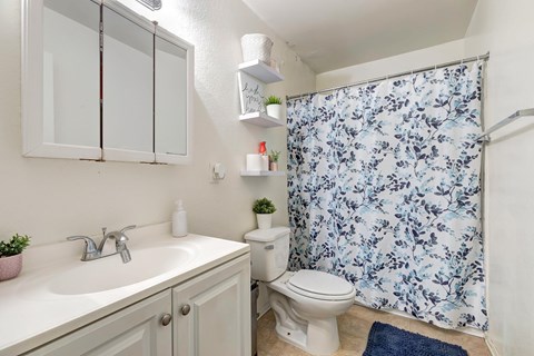 A small bathroom with a sink, toilet, and shower curtain.