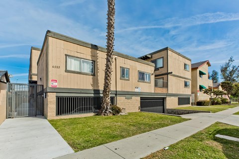 A modern building with a palm tree in front.