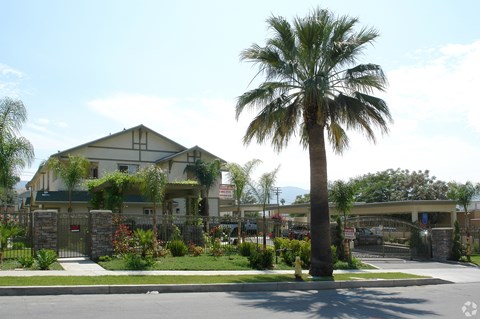 A palm tree stands in front of a building with a gate.