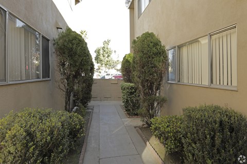 A narrow alley between two buildings with bushes on the sides.