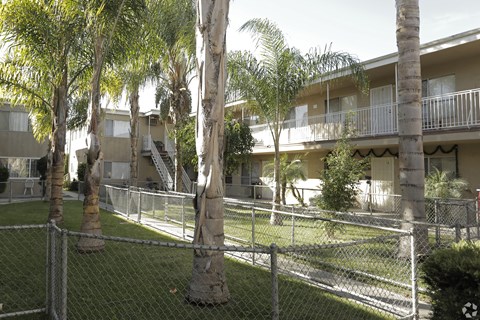 A chain link fence surrounds a grassy area with palm trees and apartment buildings in the background.