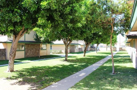 A tree-lined walkway in front of apartment buildings.