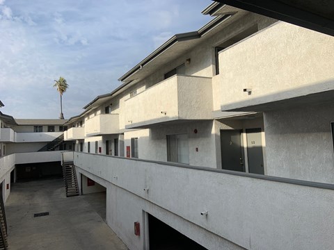 A concrete building with a palm tree in the background.