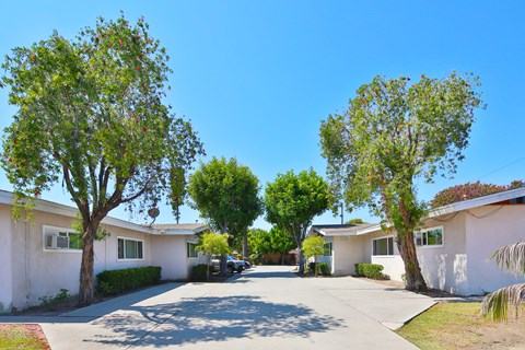 A row of houses with trees in front of them.