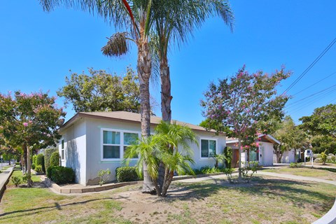 A house with a palm tree in front of it.