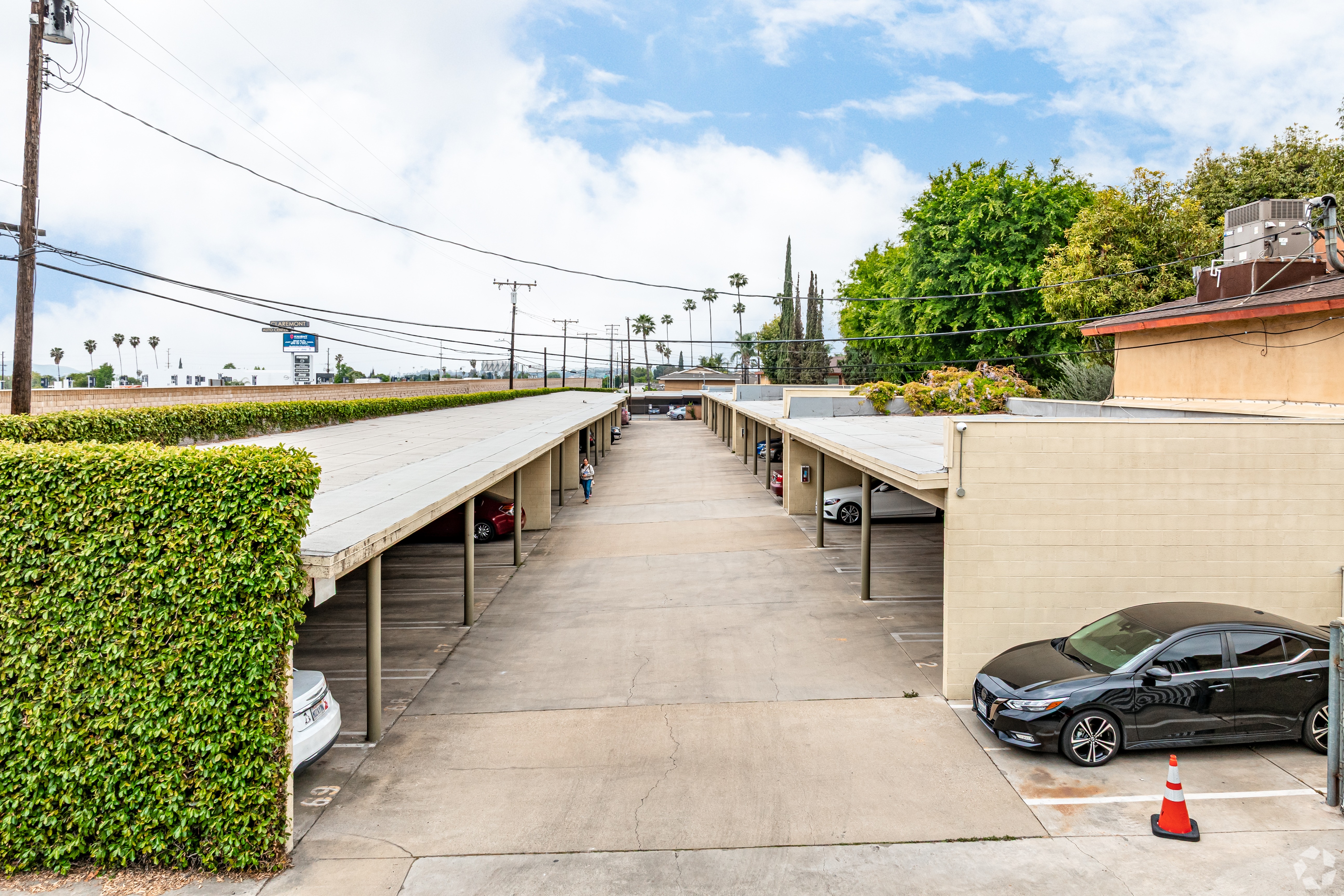 A black car is parked in a parking lot with a green hedge on the left.