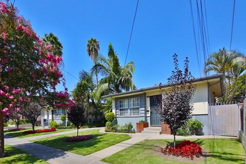 A house with a white fence and a tree in front of it.