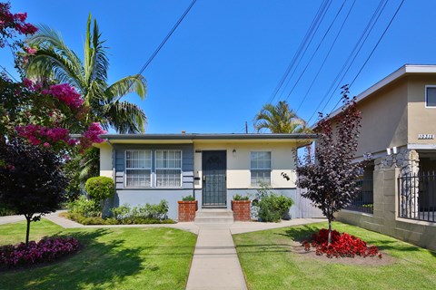 A house with a blue door and a small garden in front.