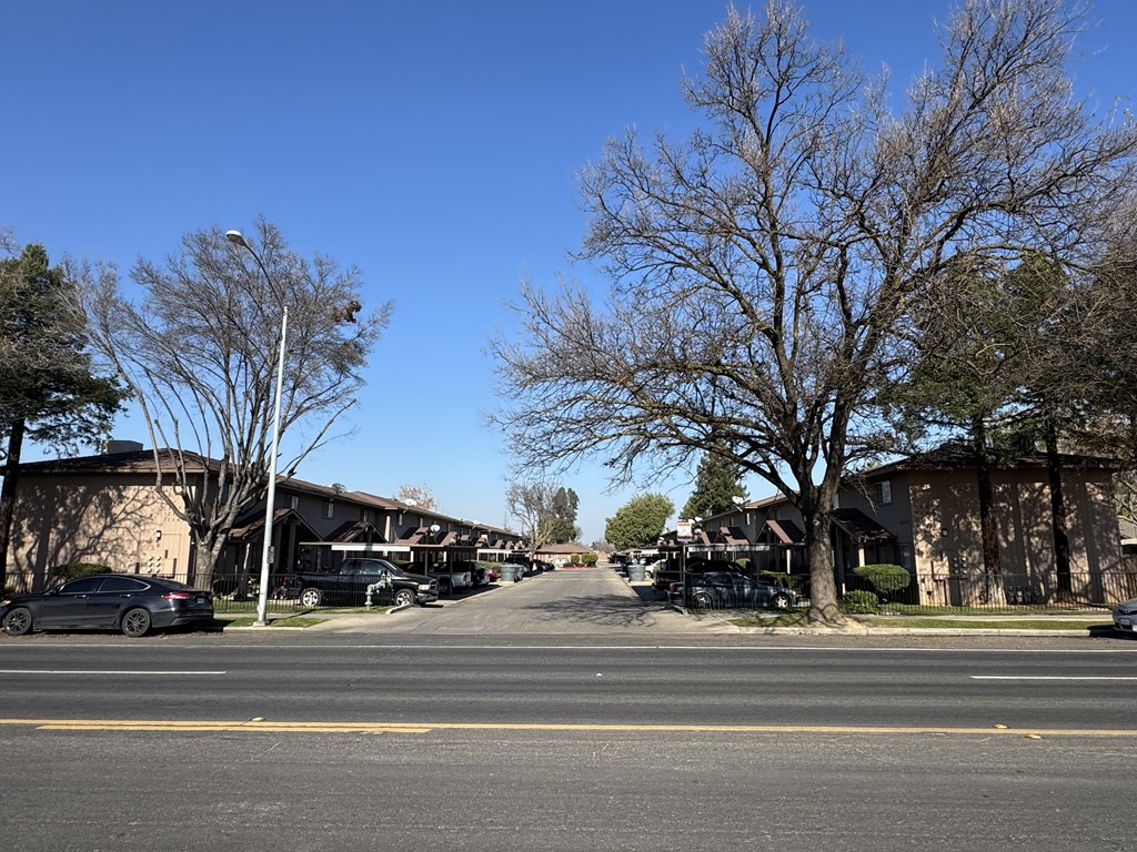 A street view with cars parked on the side of the road and trees lining the street.