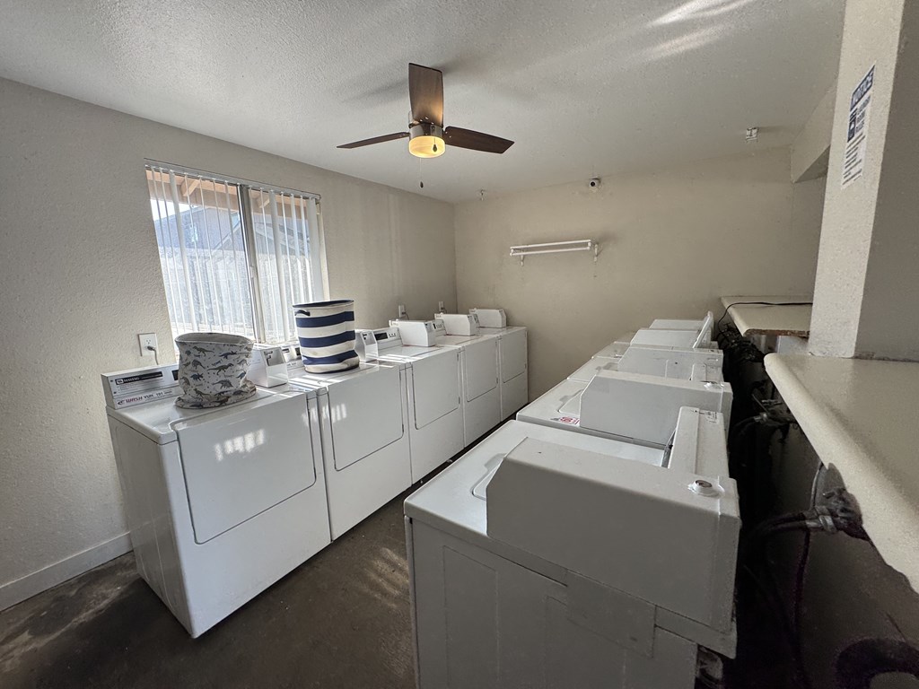 A row of white washing machines in a laundry room.